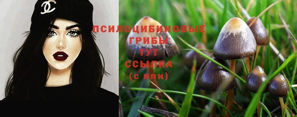хмурый Новокубанск