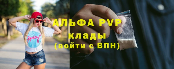 a pvp Новодвинск