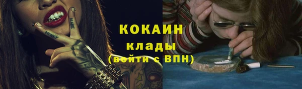 a pvp Новодвинск
